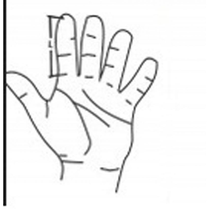 Stabilizator Fixare Deget, Marimea M, Lungime 18 cm, Culoare Argintie