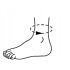 Stabilizator Glezna, Circumferinta Gamba 18-30 cm, Lungime 25 cm, Adult, Copil, Universal