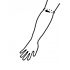 Stabilizator Neopren, Fixare Antebrat Sub Cot, Culoare Negru, Marime L, Antebrat 30-35 cm, Adult, Copil Universal